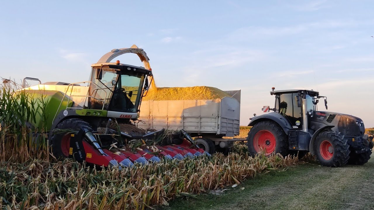 Pastone mais 2021 | Claas Jaguar 870 | Dominoni 8 file | Case IH Claas John Deere | Team Valerio