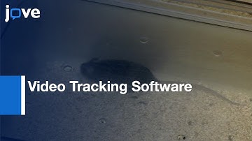 Mouse Short & Long-Term Locomotor Activity Analyzed By Video Tracking Software l Protocol Preview