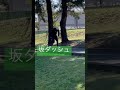 50m5秒台の坂ダッシュ #shorts