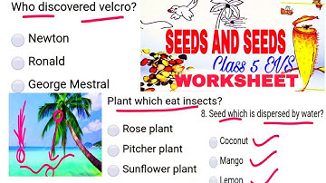 WORKSHEET / SEEDS AND SEEDS / EXTRA QUESTION ANSWERS / CLASS 5 / EVS / NCERT / CHAPTER 5