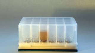 MagPlate24 w 5 mL of 1 8x AMPure XP