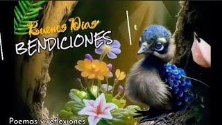 Video de buenos días con hermosas imágenes y mensajes del corazón ❤.feliz miércoles