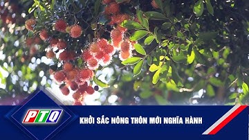 Khởi sắc nông thôn mới Nghĩa Hành | PTQ