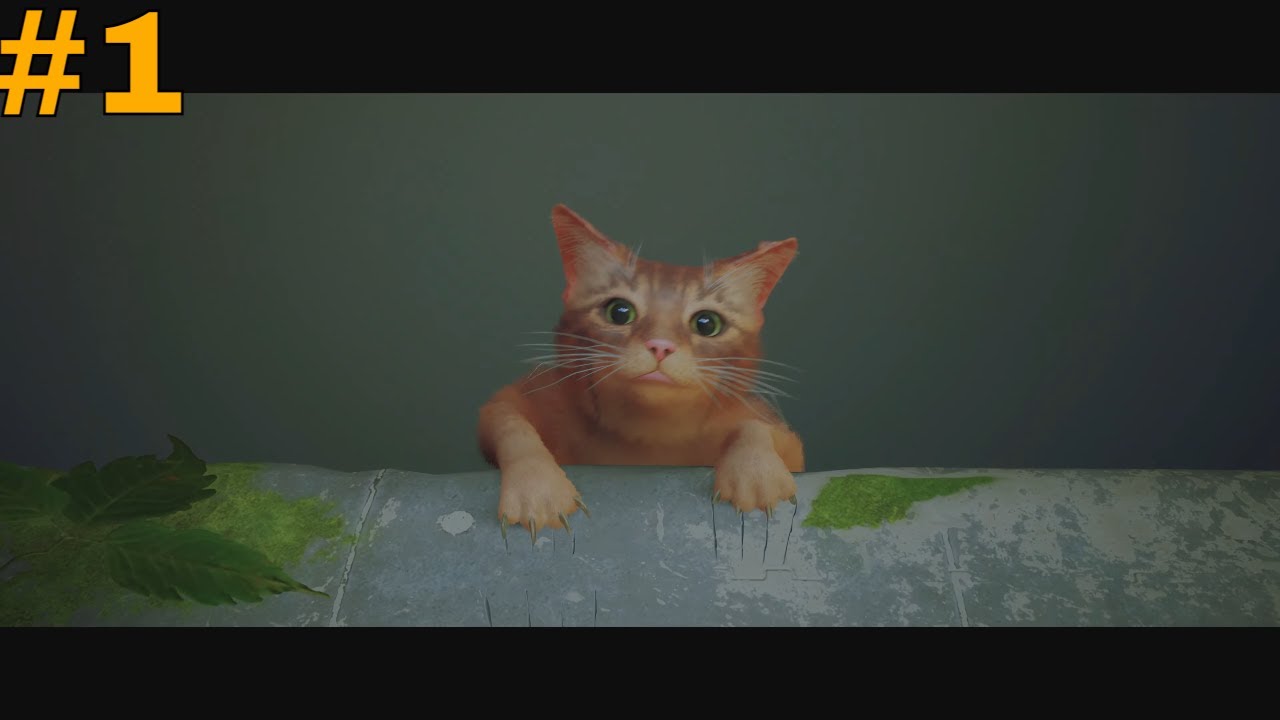 Stray on the PS5 PT1: CUTENESS overload. 