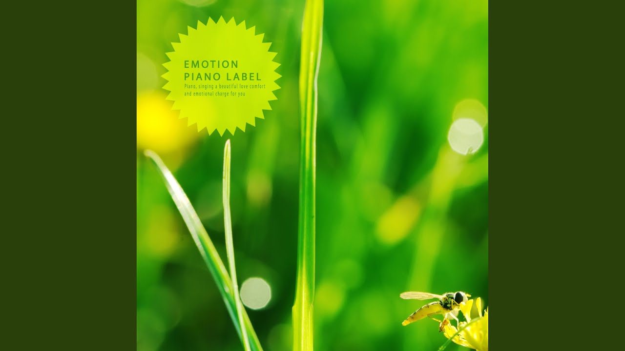 Awake My Morning (Nature Ver.)