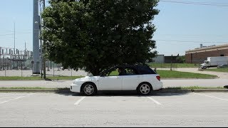 How to Use a Biocide Systems Car Deoderizer
