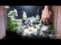 Aquarium decoration : Reproduction de Port Coton en  Aquascaping