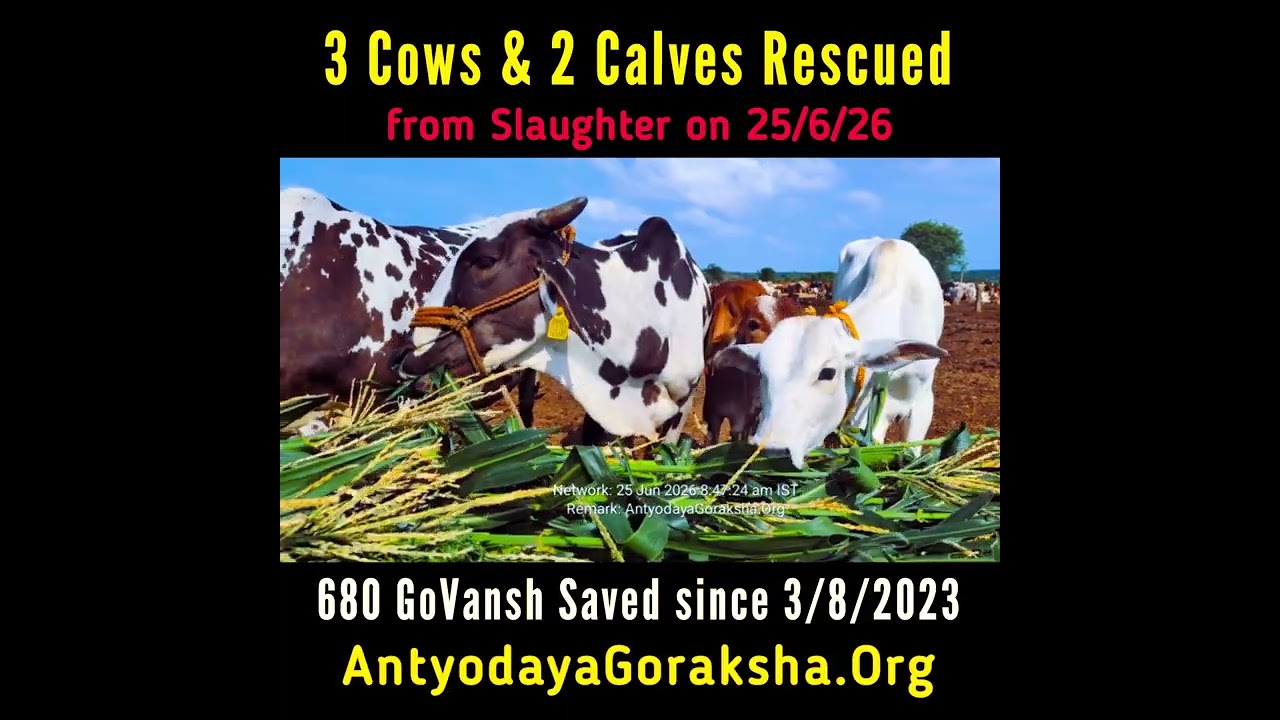 [25 June 2026] Five Lives Saved 🎉