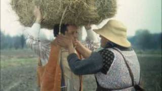 Il Ragazzo Di Campagna Cast E Trama Film Super Guida Tv