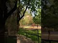 Саржин Яр: вид с лестницы на Весну