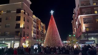 SPONSORED The Place: Explore Branson - Festival of Trees Net Worth