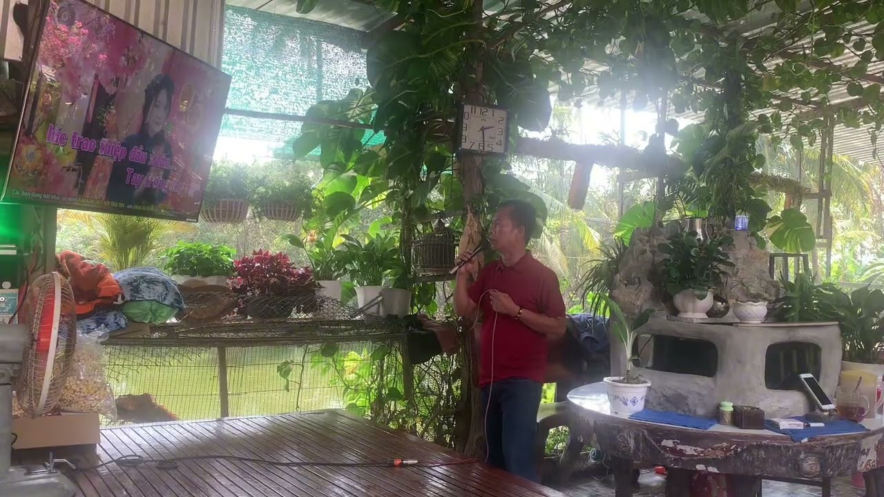 Lão Nông Cover - Lk Đoản Xuân Ca Nhạc Tết 2026