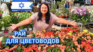 ЦВЕТОЧНЫЙ ШОПИНГ В ИЗРАИЛЕ. Едем в самый огромный цветочный магазин в Израиле