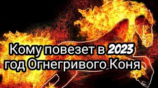 Кому повезет в 2023 год Огнегривого Коня: удача ждет три знака славянского гороскопа