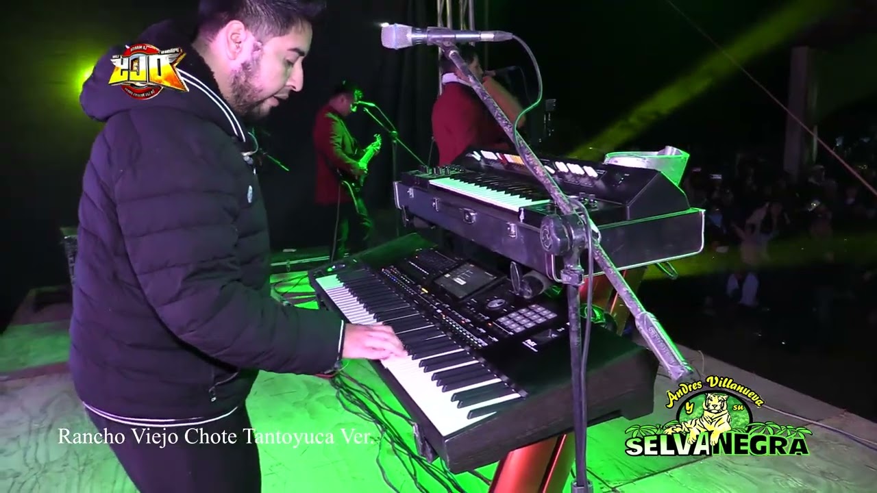 SELVA NEGRA EN VIVO RANCHO VIEJO CHOTE TANTOYUCA VER