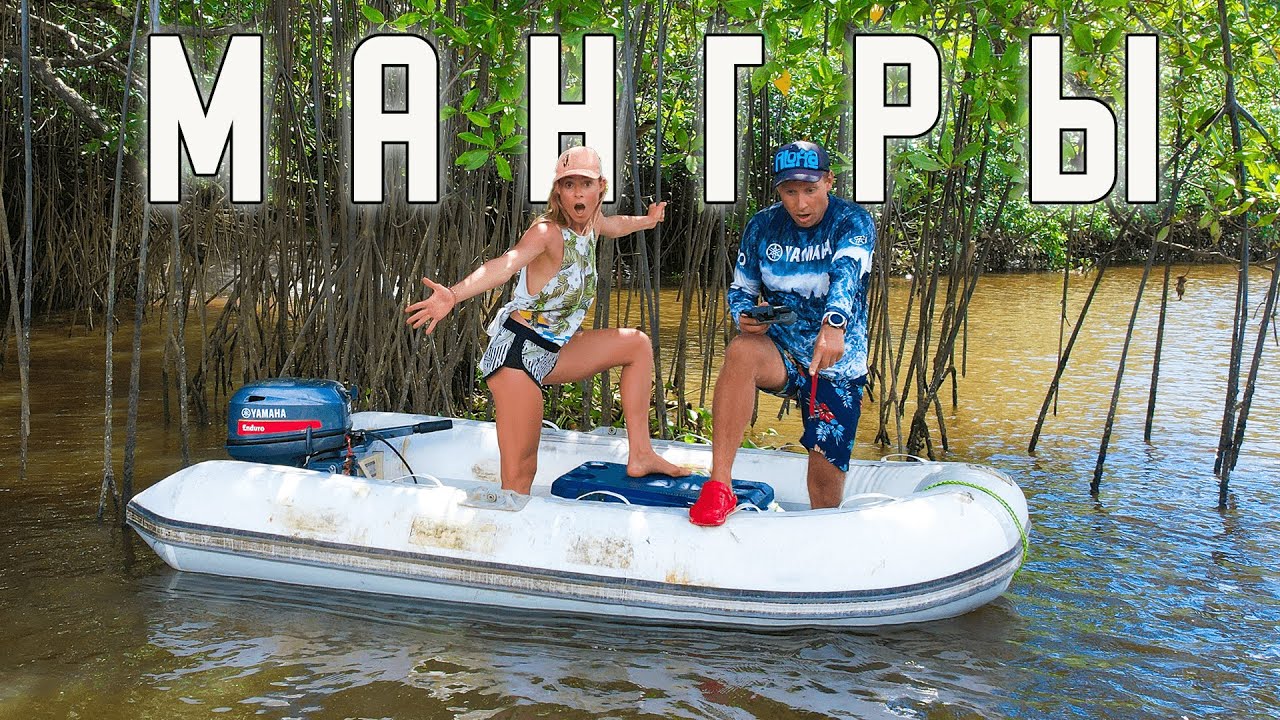 ИССЛЕДУЕМ САМЫЕ БОЛЬШИЕ МАНГРОВЫЕ ЛЕСА