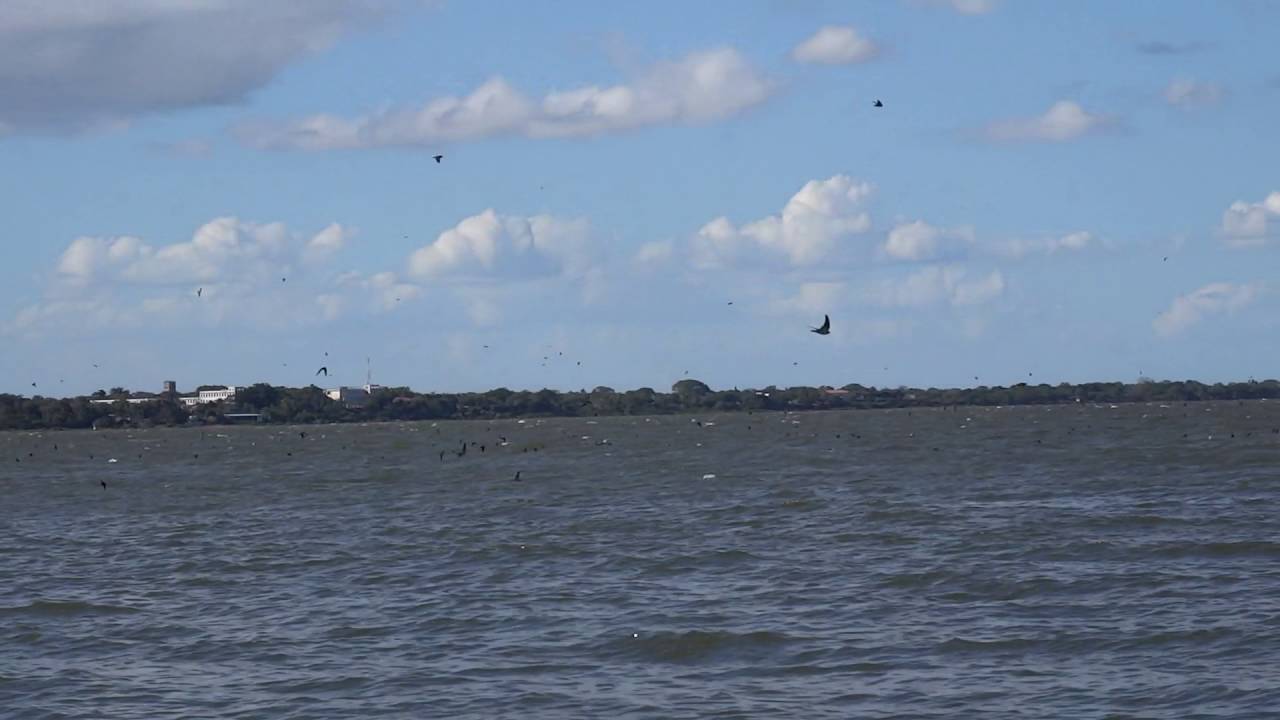 Nicaragua - Granada - Isletas Tour