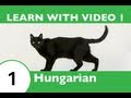 Learn Hungarian with Video - Learning Hungarian Vocabulary for Common Animals Is a Walk in the Park!