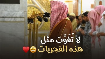 صوت المدينة د. عبدالله القرافي يحلّق في سماء الإبداع بتلاوة لا تنسى من سورة الرعد فجر 14-10-1446هـ