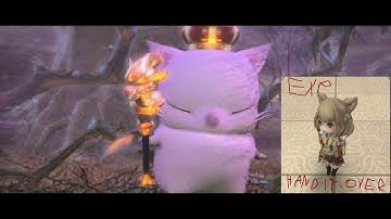 FFXIV: The average wondrous tails experience