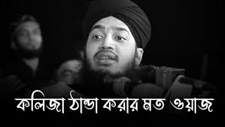 Emotional waz | Sayed Mukarram Bari Whatsapp status | sad waz | Islamic Life Stk @islamic life stk screenshot 4