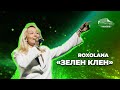 ROXOLANA Зелен клен