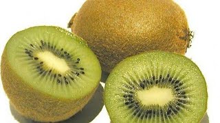 زراعة الكيوي / how to grow kiwi from seeds
