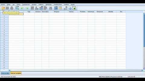 Interfaz de SPSS Versión 26 (Introducción a SPSS)