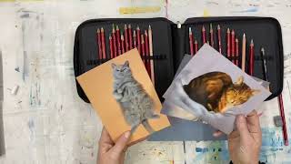 Hoe gebruik je pastelpotloden? screenshot 5