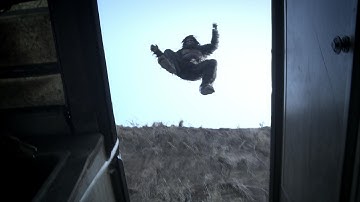 ビッグフット現る!映画『イグジスツ 遭遇』予告編