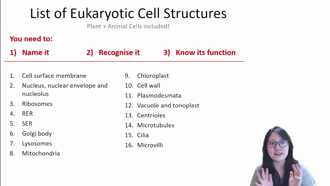 cambridge cell biology phd