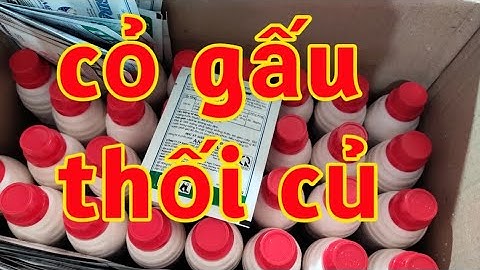 thuốc trị cỏ gấu chết tận củ 023 176