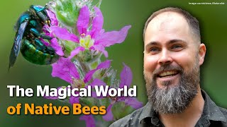 The Magical World of Native Bees
