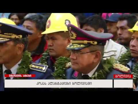 კოკას პლანტაციები ბოლივიაში