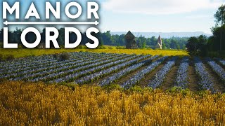 Massive GRAIN Harvest - Manor Lords Gameplay - Part 11