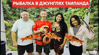 картинка: Рыбалка в моем пруду в таиланде, приехали блогеры
