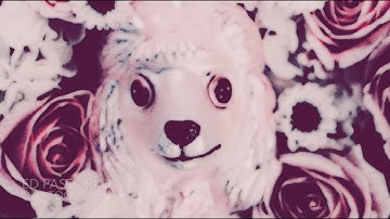 Ed Pastorini - Old Tool Shed (Official Video)