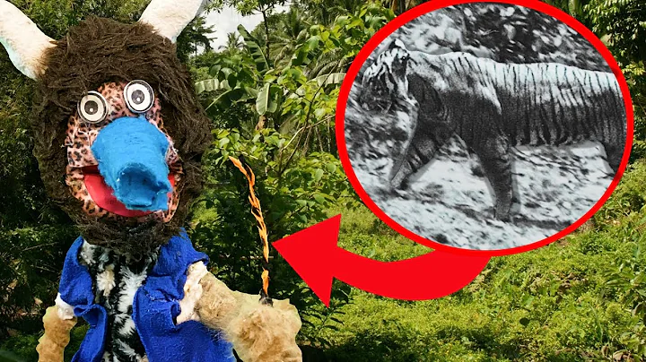 PROOF Javan Tigers still exist! || Amazing Animal News