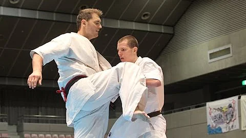 SHINKYOKUSHINKAI KARATE The 30th All Tohoku Tourna...