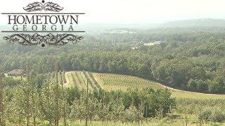 Blue Ridge | Hometown Georgia