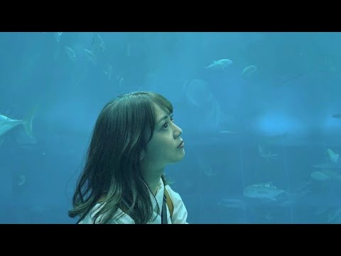 家族と一緒に美ら海水族館でまったり。〜沖縄旅行Vlog🌺