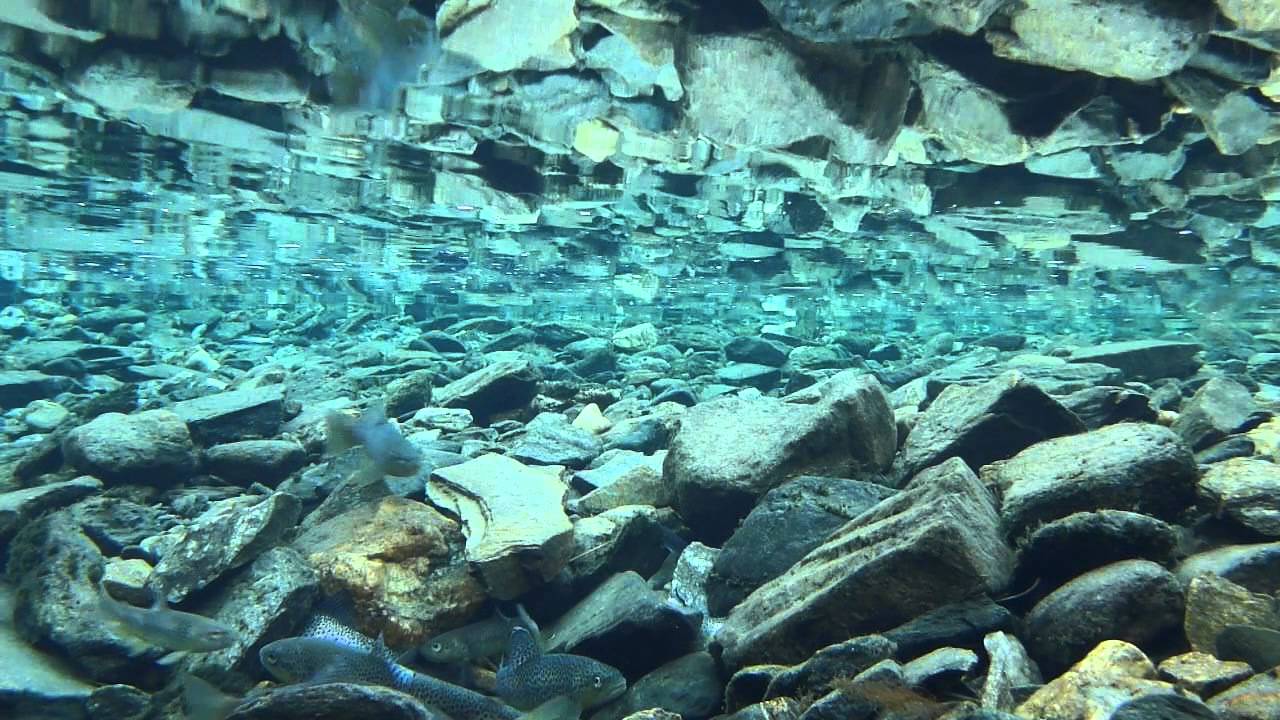 Gytefisk Vikafjellet 16.10.14