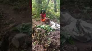 Download Lagu Lucu arfak agibuy MP3