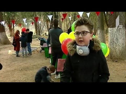 თავშესაფარი უპატრონო ძაღლებისთვის