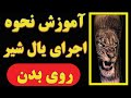 آموزش نحوه اجرای یال شیرروی بدن      