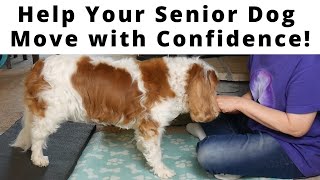 🐶 Senior Dog Balance & Coordination: Rehab Exercises with my Senior Cavaliers (Chiari Malformation)