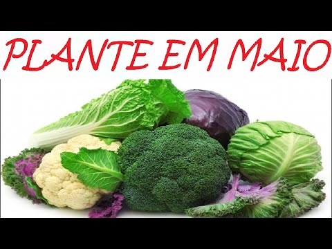 Vídeo: O Que E Como Plantar Em Maio. Dicas úteis