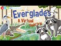 Exploring the Everglades' Wonders