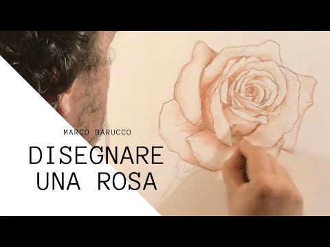 Video: Come Disegnare Un Petalo