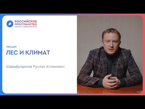 Видео: Каков климат бореальных лесов?